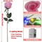 Eternal Rose Flower LED Enchanted Light 6 pcs